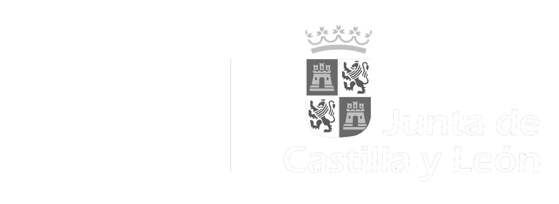 Instituto de la Juventud de Castilla y León